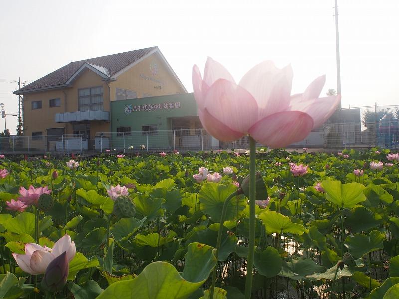 6月