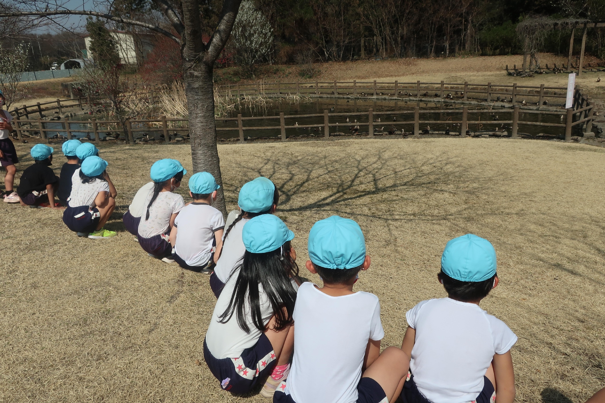 ３月１０日(金) お別れ遠足➁🌷(さくら組)