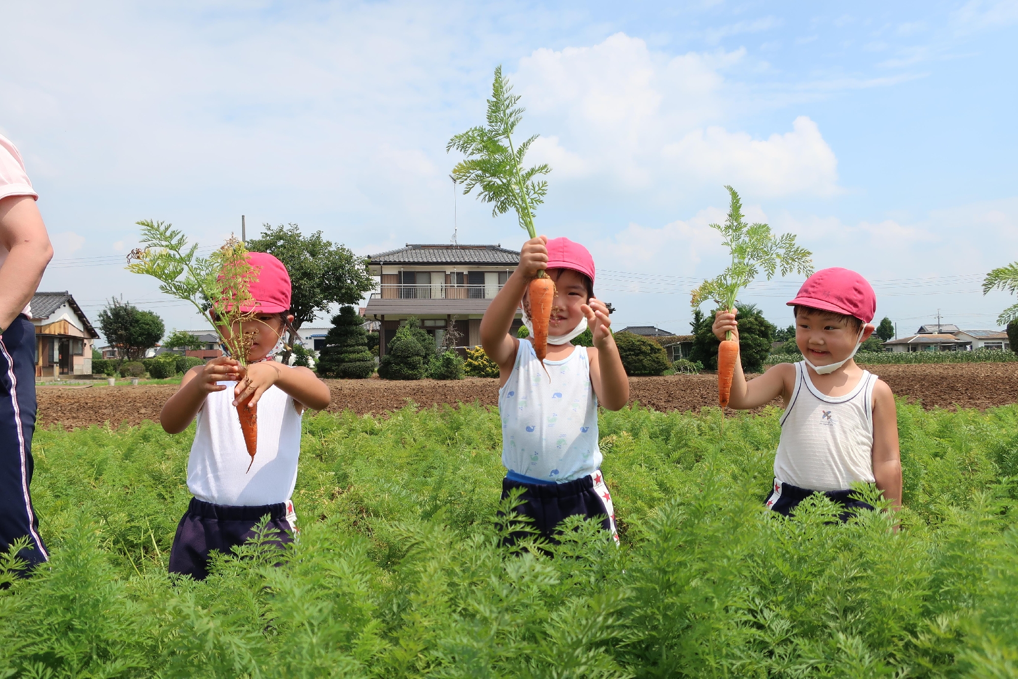 ７月５日(火)人参掘り(すみれ２組)